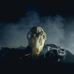 Entries - Some Things Never Change (Single) (2026)