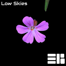 Exposed Brick - Low Skies (2026)