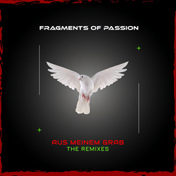 Fragments of Passion - Aus meinem Grab (The Remixes) (2026)