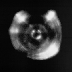 Halfmachine - Control (2026)