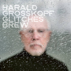 Harald Grosskopf - Glitches Brew (2026)