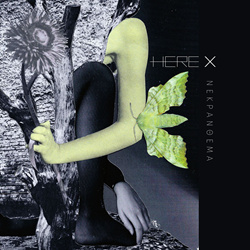 Here X - Nekranthema (2026)