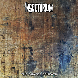 Insectarium - the shapes beneath (2026)