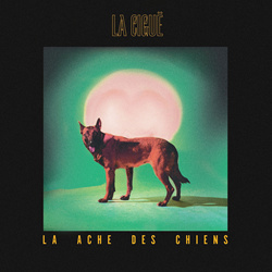 La Ciguë - La ache des chiens (2026)