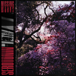 Missing Words - Serotonin (2026)