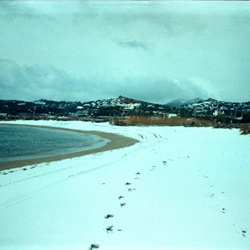 Monochromatic Visions - Closure (2026)