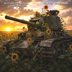 Nature of Wires - Pray for Summer Now (Single) (2026)