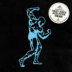 VA - Next Wave Acid Punx TROIS (2026)