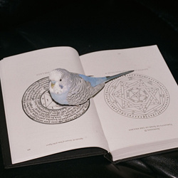 Omnihell - Extreme Suffering (2026)