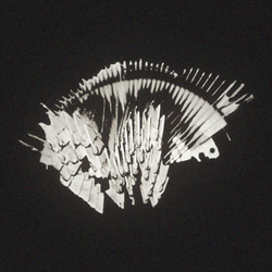 Permanent Shadows - Anx (EP) (2026)