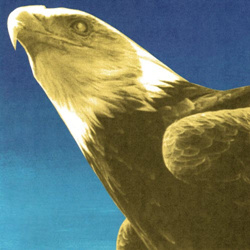 Protomartyr - Hotel Usona (2026)