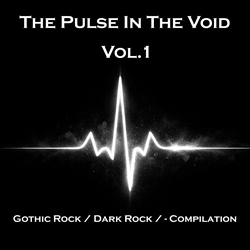 VA - Pulse In The Void - Vol.1 (2026)