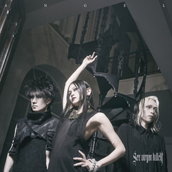 Sex Virgin Killer - Angel (Japanese + International Version) (2026)