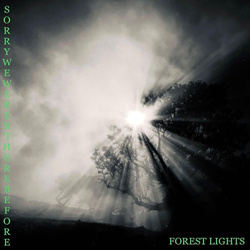 Sorry We Weren't Here Before - Forest Lights (2026 Version) (2026)
