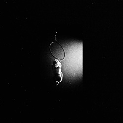 Still Years - There Are Dreams I Can't Sleep Off (EP) (2026)