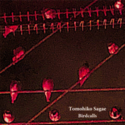 Tomohiko Sagae - Birdcalls (2026)