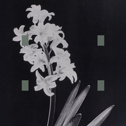 Trianglecuts - When Death Leaves (2026)