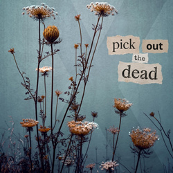 VH x RR - Pick Out The Dead (Single) (2026)