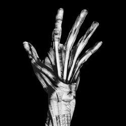 Veil of Light - Veil Of Light EP (Expanded Edition) (2026)