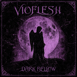 Vioflesh - Your Blood (Single) (2026)