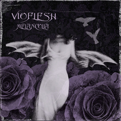 Vioflesh - Melancolia (2026)