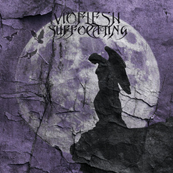 Vioflesh - Suffocating (Single) (2026)