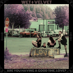 Wet Velvet - Are You Having A Good Time, Love? (2026)