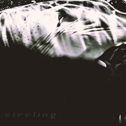 Who Saw Her Die? - Circling (EP) (2026)