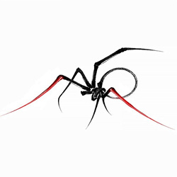 XPQ-21 - Little Spider (EP) (2026)