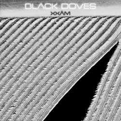 Xxäm - Black Doves (EP) (2026)