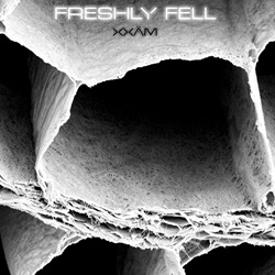 Xxäm - Freshly Fell (EP) (2026)