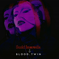 blood.twin - Ruins (Single) (2026)