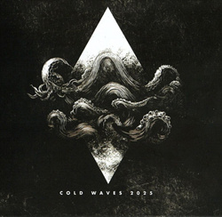 VA - Cold Waves 2025 Compilation (2025)