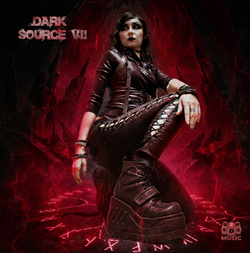 VA - Dark Sour�e VII (2026)