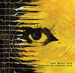 VA - Cold Waves 2024 Compilation (Limited Edition CD) (2024)